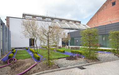 The garden extension and planting